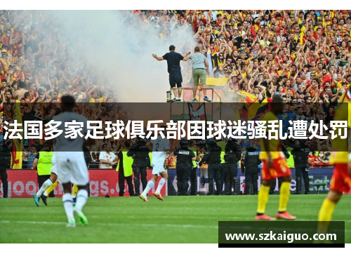 法国多家足球俱乐部因球迷骚乱遭处罚